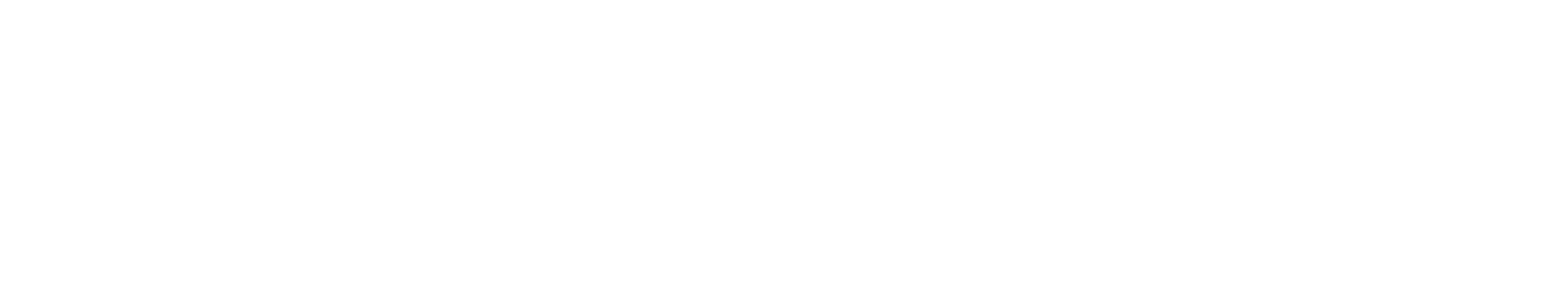 logo_seminuevos_vanguardia